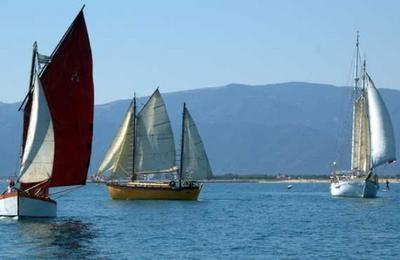 Venez dcouvrir une collection de vieux grements et autres bateaux de lgende  Canet en Roussillon
