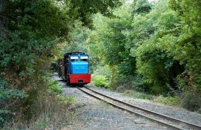 Venez faire une promenade en petit train !  Saint Lieux les Lavaur