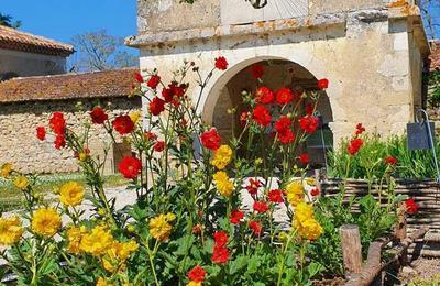 Venez vous initier au pouvoir colorant des plantes  Valence sur Baise