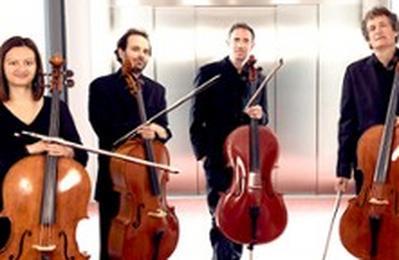 Viking Cellos Quartet Invite Clmentine Decouture  Herouville saint Clair