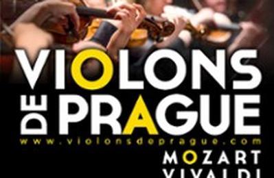 Violons de Prague  Obernai