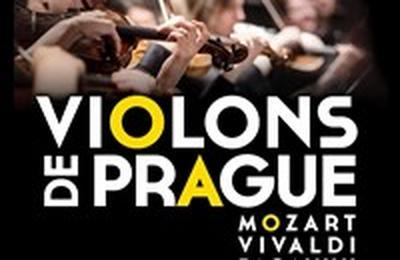 Violons de Prague  Reims