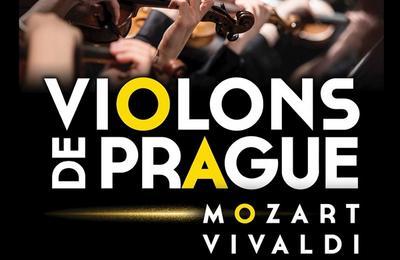 Violons de Prague  Tours