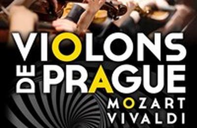 Violons de Prague  Nimes