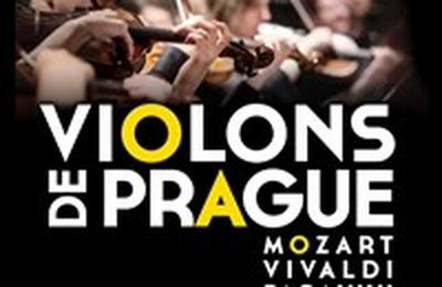 Violons de Prague  Sarrebourg