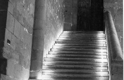 Visite  La Lampe Torche  Valence sur Baise