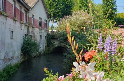 Visite au fil de la Canche  Hesdin