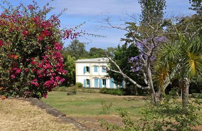 Visite botanique au Muse Historique De Villle  Saint Gilles Les Hauts