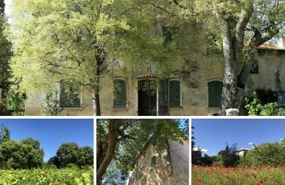 Visite Commente  La Ciotat