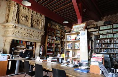 Visite commente : Bibliothque du chteau  Blois