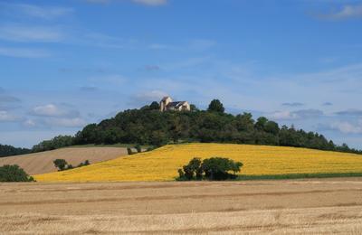 Visite commente de la chapelle Saint-Pierre du Mont Sabot  Neuffontaines