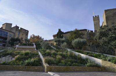 Visite commente du chteau  Salon de Provence