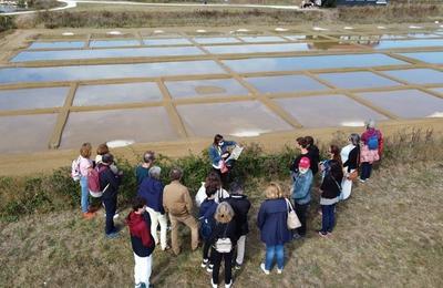 Visite commente du marais salant  Le Grand Village Plage