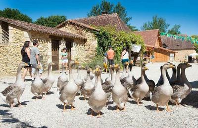 Visite d'un village reconstitu  Le Bugue