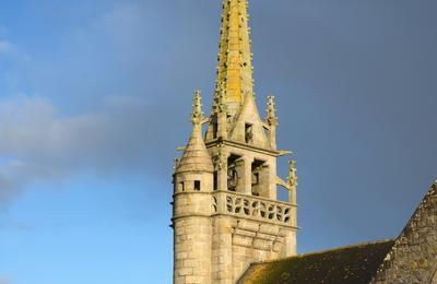 Visite de l'glise Saint-Pierre,  Plougat-Moysan