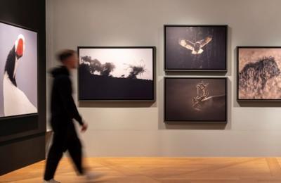 Visite de l'exposition   l'afft  Arc et Senans