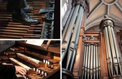 Visite de l'orgue de la basilique de Sainte-Anne-d'Auray