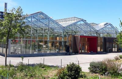 Visite de la serre Wangari  Saint-Ouen-sur-Seine