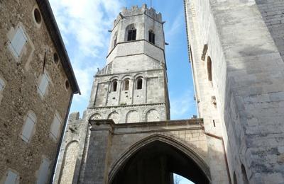 Visite de la Tour Saint-Michel, Cathdrale Saint-Vincent de Viviers