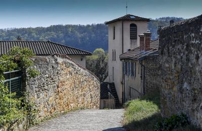 Visite de Rochetaille sur Sane, village de caractre