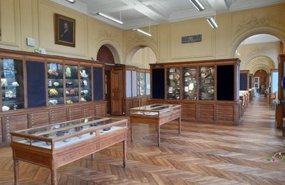 Visite des collections  l'cole mines paris  Paris 5me
