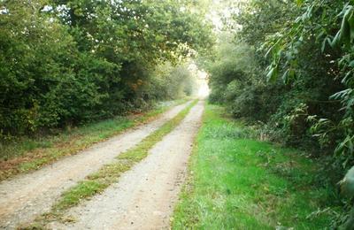 Visite des Landes du Fuilet  Montrevault-sur-vre