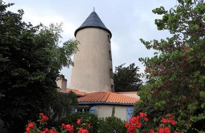 Visite Des Moulins Du P  Le Loroux Bottereau