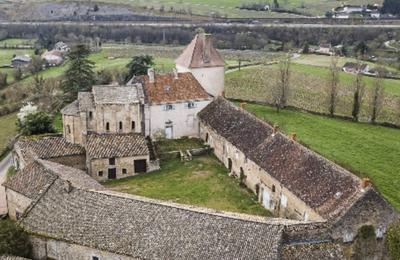 Visite du chteau des Moines  Berze la Ville