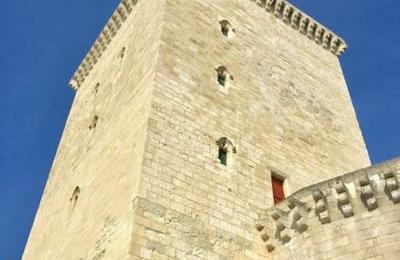 Visite du donjon mdival et diverses animations  Lesparre Medoc