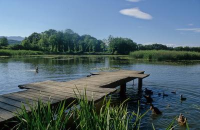 Visite du hameau et du marais de Braille  Entrelacs