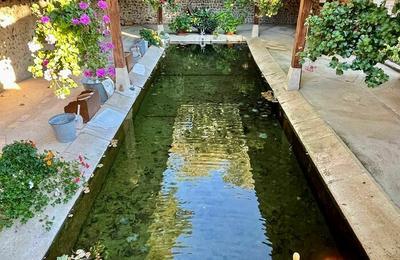 Visite du lavoir de Saint-Aubin-sur-Yonne