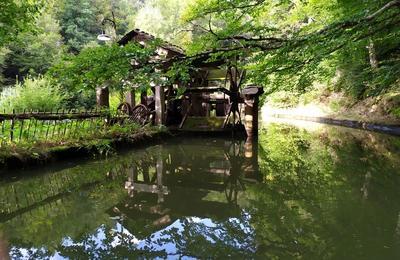 Visite du Moulin du Pinard  Saint Julien du Pinet