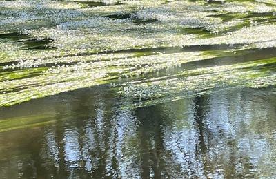 Visite du parc du moulin Jaccot  Deux Rivires