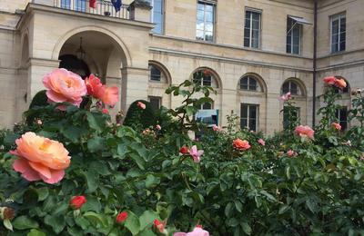 Visite du Pavillon Boncourt  Paris 5me