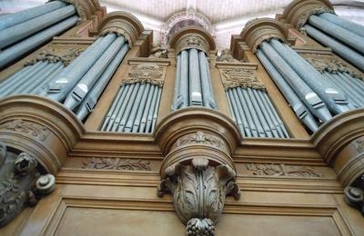 Visite guide  Laon : L'orgue de la cathdrale