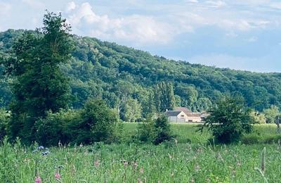 Visite guide Architecture historique en milieu rural  Moret-Loing-et-Orvanne