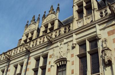Visite guide : Blois Renaissance