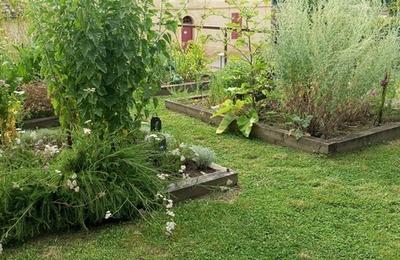 Visite guide d'un jardin d'inspiration mdivale  La Sauve