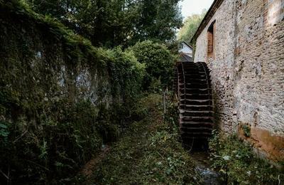 Visite guide d'un moulin  eau du XIXe sicle  Orbais l'Abbaye