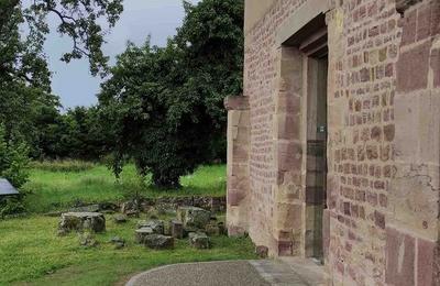 Visite guide d'une abbaye du XIe sicle  Obermorschwihr