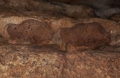 Visite guide d'une grotte prhistorique orne du Palolithique  Eyzies de Tayac Sireuil