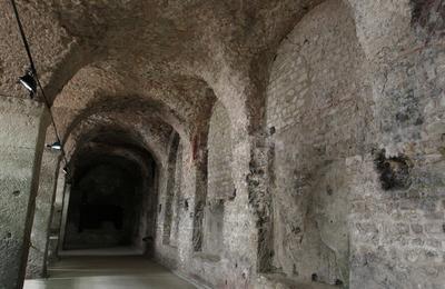 Visite guide d'une partie de l'ancien forum antique  Reims