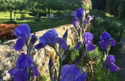 Visite guide de l'abbaye Saint-Andr en Gouffern  La Hoguette