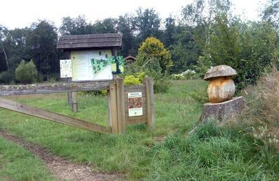 Visite guide de l'arboretum d'Etrez  Bresse Vallons