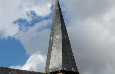 Visite guide de l'glise Saint Pierre  Steenbecque