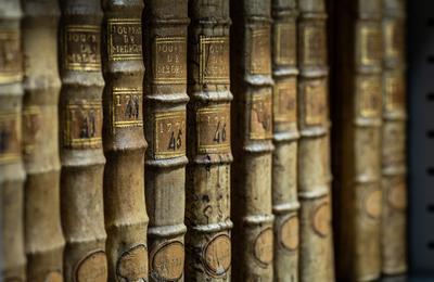 Visite guide de la bibliothque universitaire avec l'association Archimuse  Bordeaux