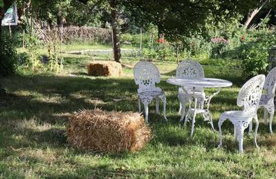 Visite guide de la ferme florale  Saint Jean le Thomas