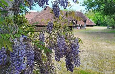 Visite guide de la Tuilerie de Pouligny  Cheniers