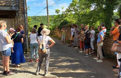 Visite guide de Pernand-Vergelesses pendant les vendanges