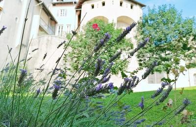 Visite guidée et découverte du jardin du musée de l'Ancien Evêché à Grenoble